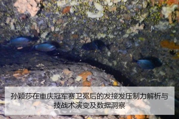 孙颖莎在重庆冠军赛卫冕后的发接发压制力解析与技战术演变及数据洞察