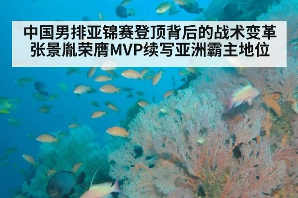 中国男排亚锦赛登顶背后的战术变革 张景胤荣膺MVP续写亚洲霸主地位